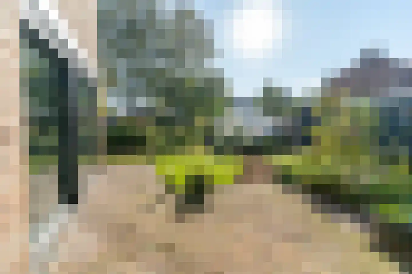 Herenveldweg 9 't Harde thumbnail 40