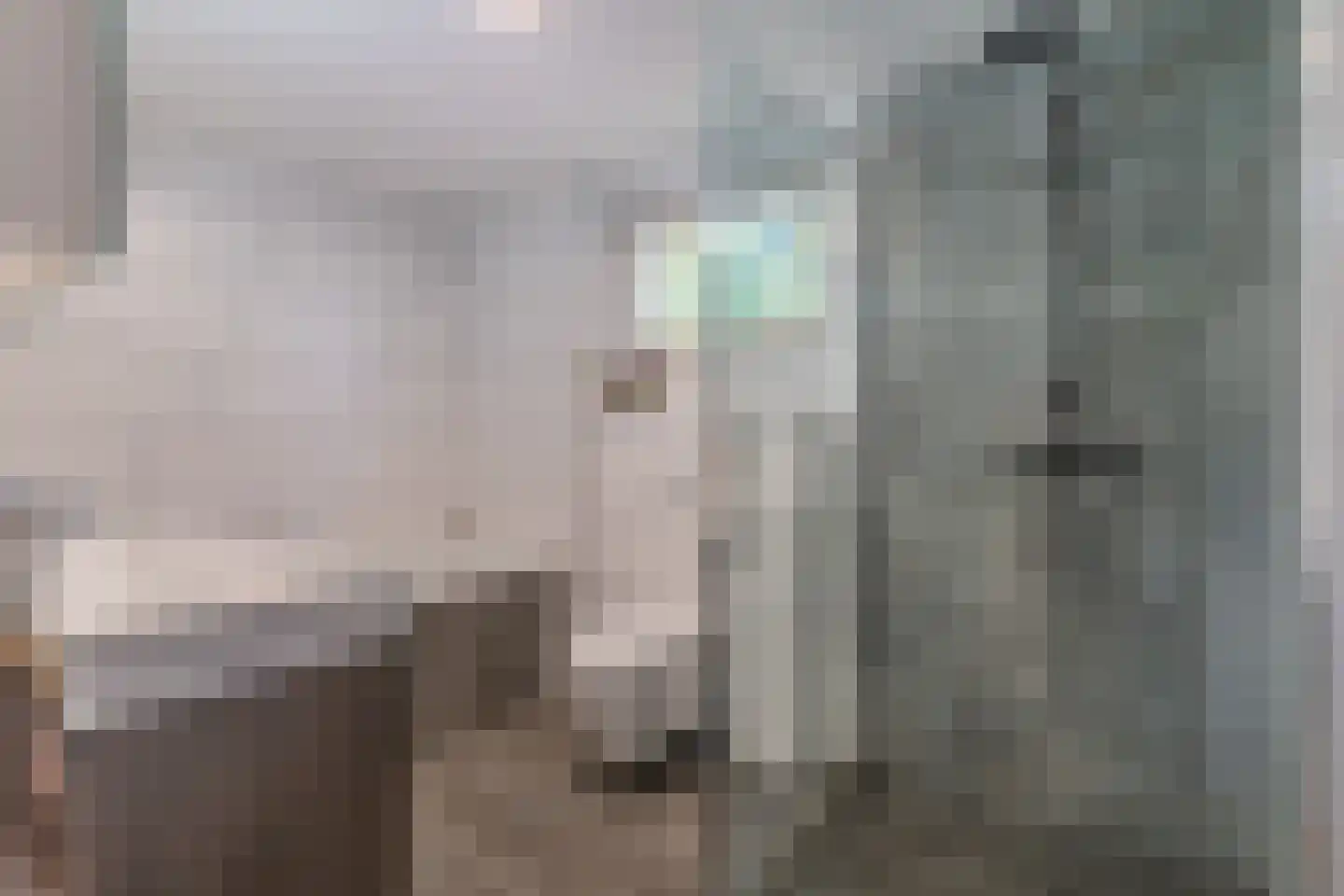Herenveldweg 9 't Harde thumbnail 8