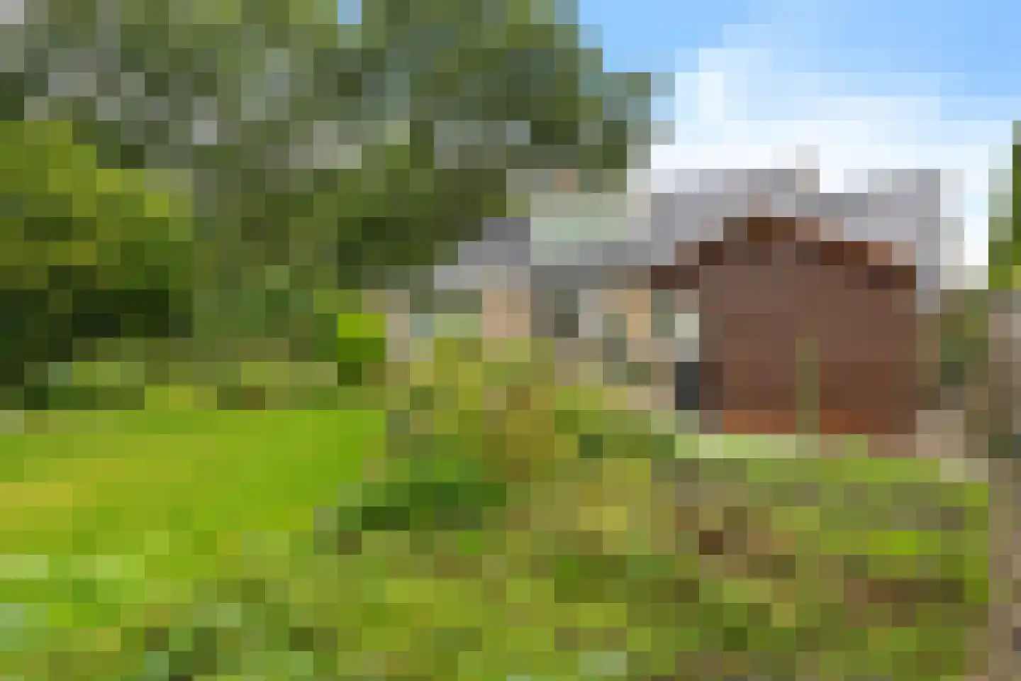 Herenven 2 Tynaarlo thumbnail 21