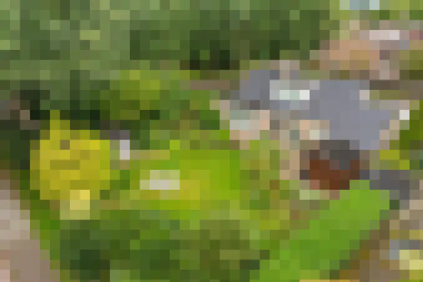 Herenven 2 Tynaarlo thumbnail 39