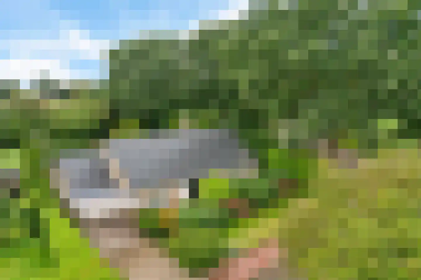 Herenven 2 Tynaarlo thumbnail 4