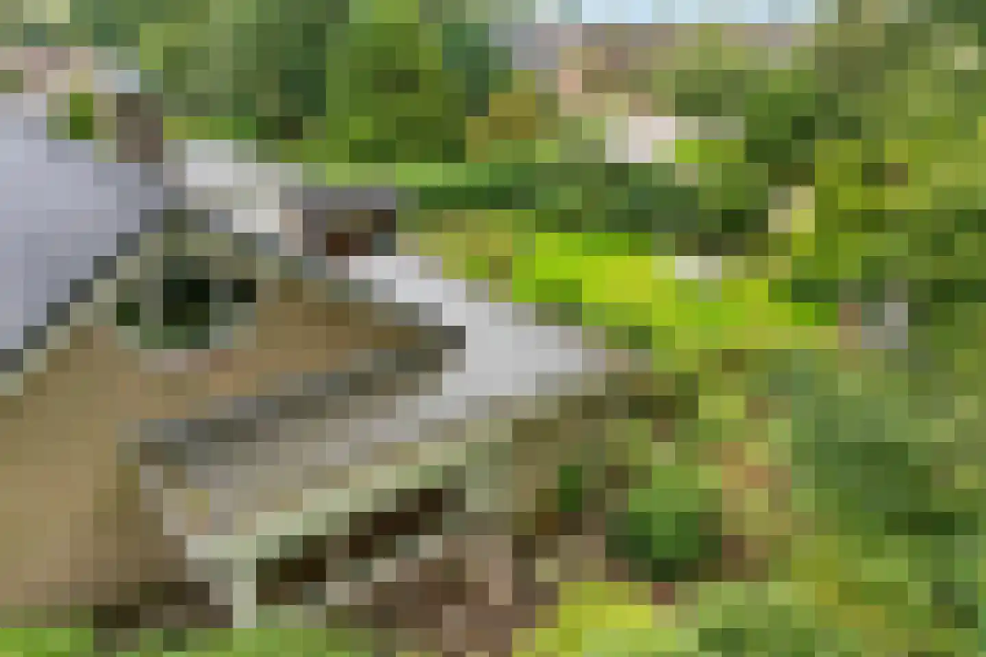Herenven 2 Tynaarlo thumbnail 41