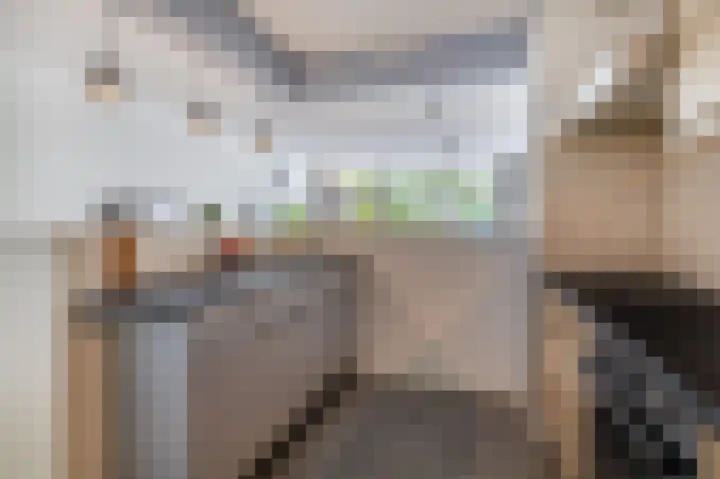 Herenwaard 107 Zoetermeer thumbnail 17