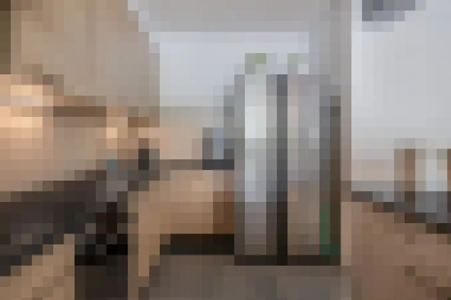 Herenwaard 107 Zoetermeer thumbnail 18