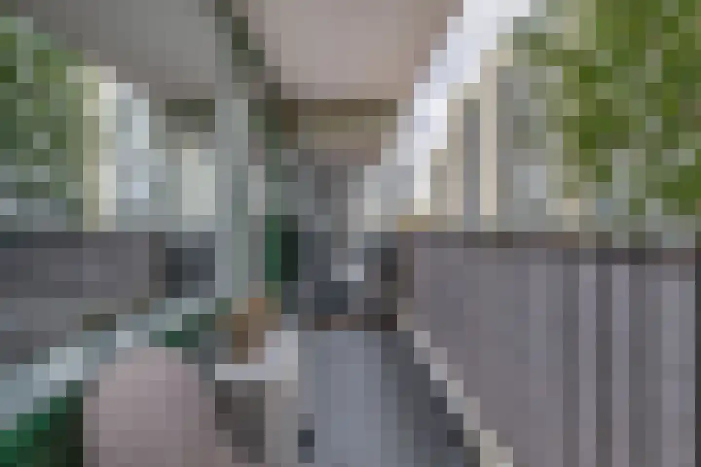 Herenwaard 107 Zoetermeer thumbnail 22