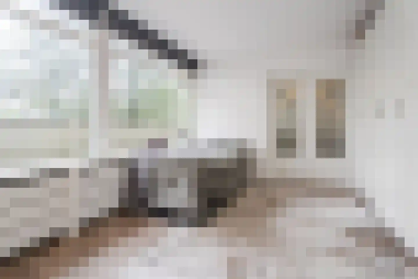 Herenwaard 109 Zoetermeer thumbnail 20