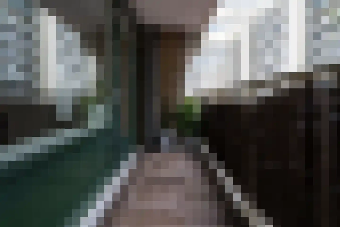 Herenwaard 109 Zoetermeer thumbnail 30