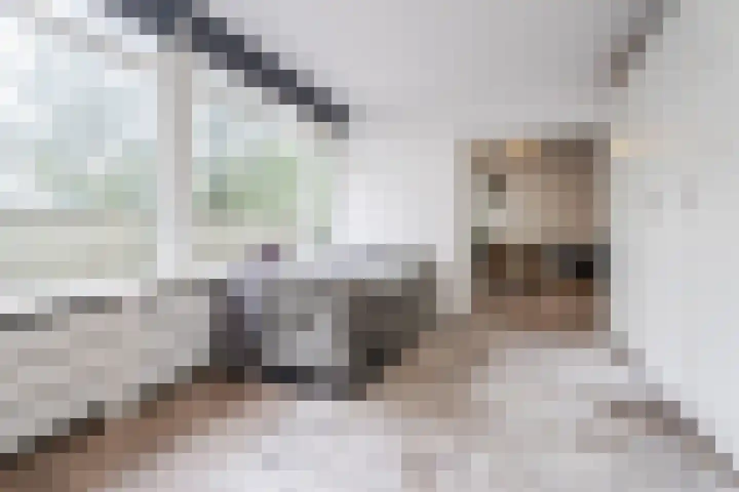 Herenwaard 109 Zoetermeer thumbnail 8