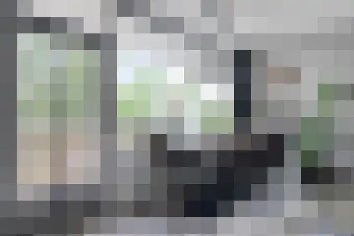 Herenwaard 127 Zoetermeer thumbnail 10
