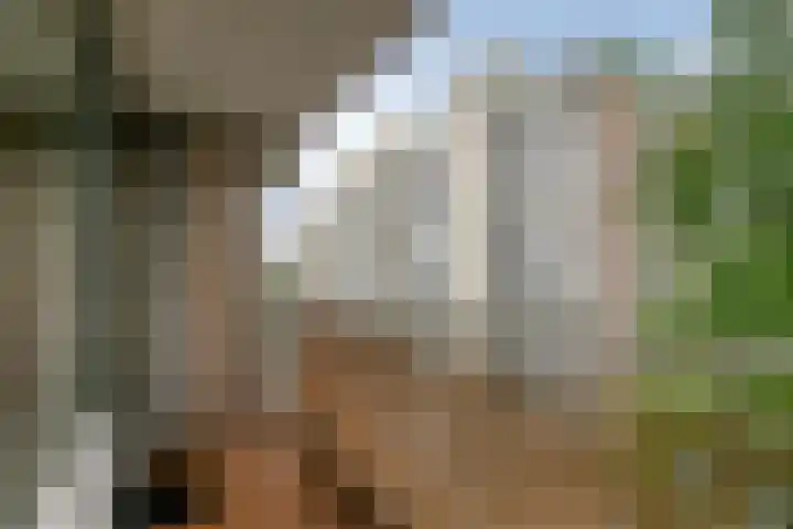 Herenwaard 127 Zoetermeer thumbnail 11