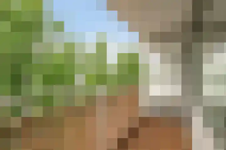 Herenwaard 127 Zoetermeer thumbnail 12