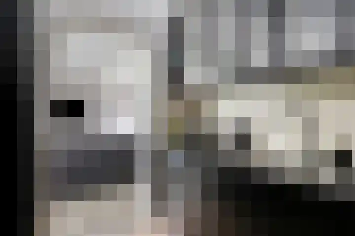 Herenwaard 127 Zoetermeer thumbnail 14