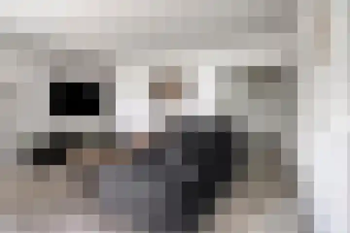 Herenwaard 127 Zoetermeer thumbnail 8