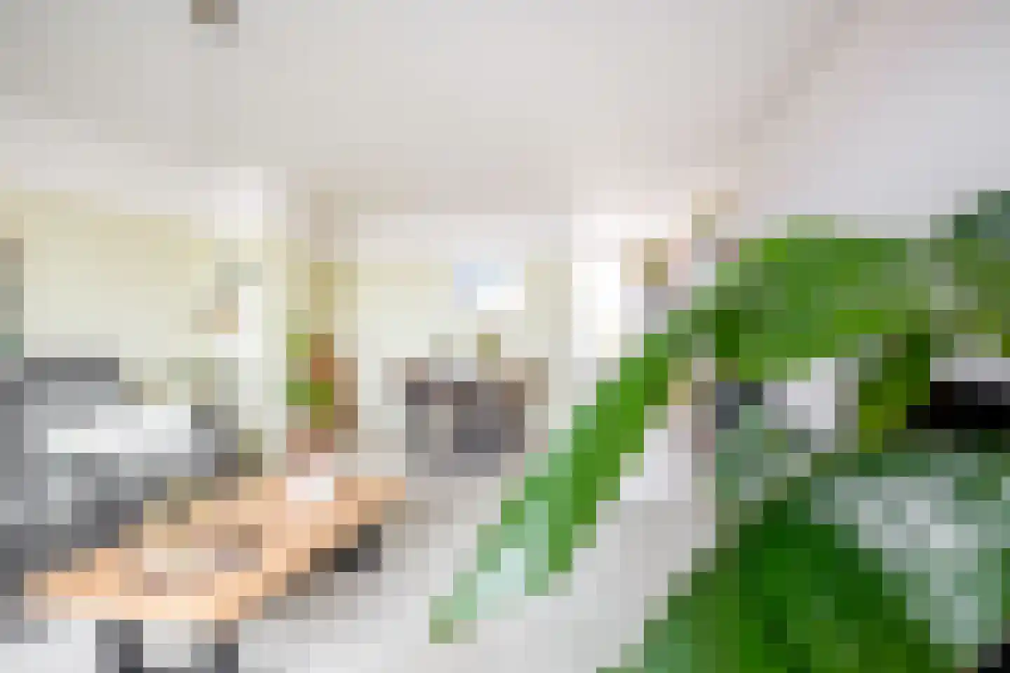 Herenwaard 143 Zoetermeer thumbnail 16
