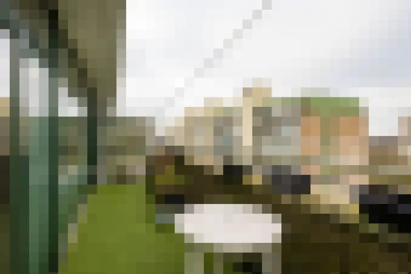 Herenwaard 143 Zoetermeer thumbnail 17