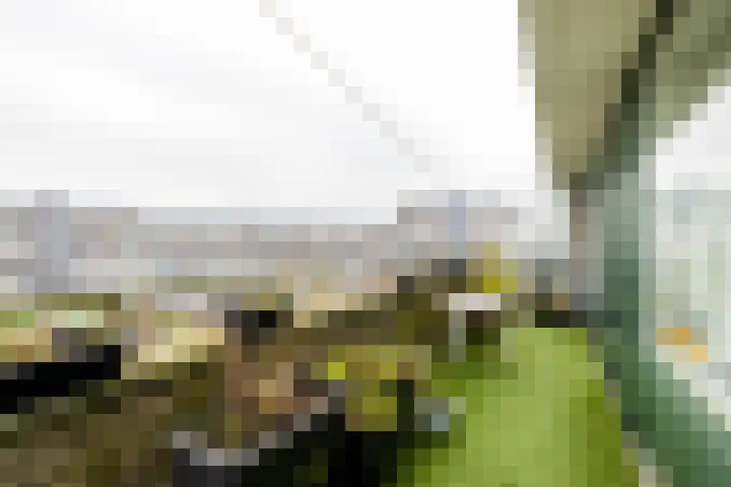 Herenwaard 143 Zoetermeer thumbnail 18