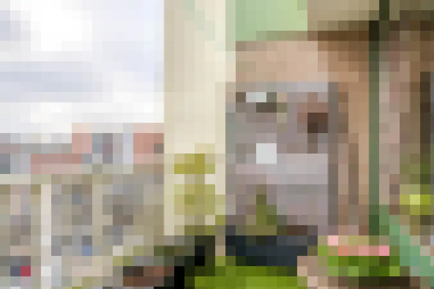 Herenwaard 143 Zoetermeer thumbnail 23