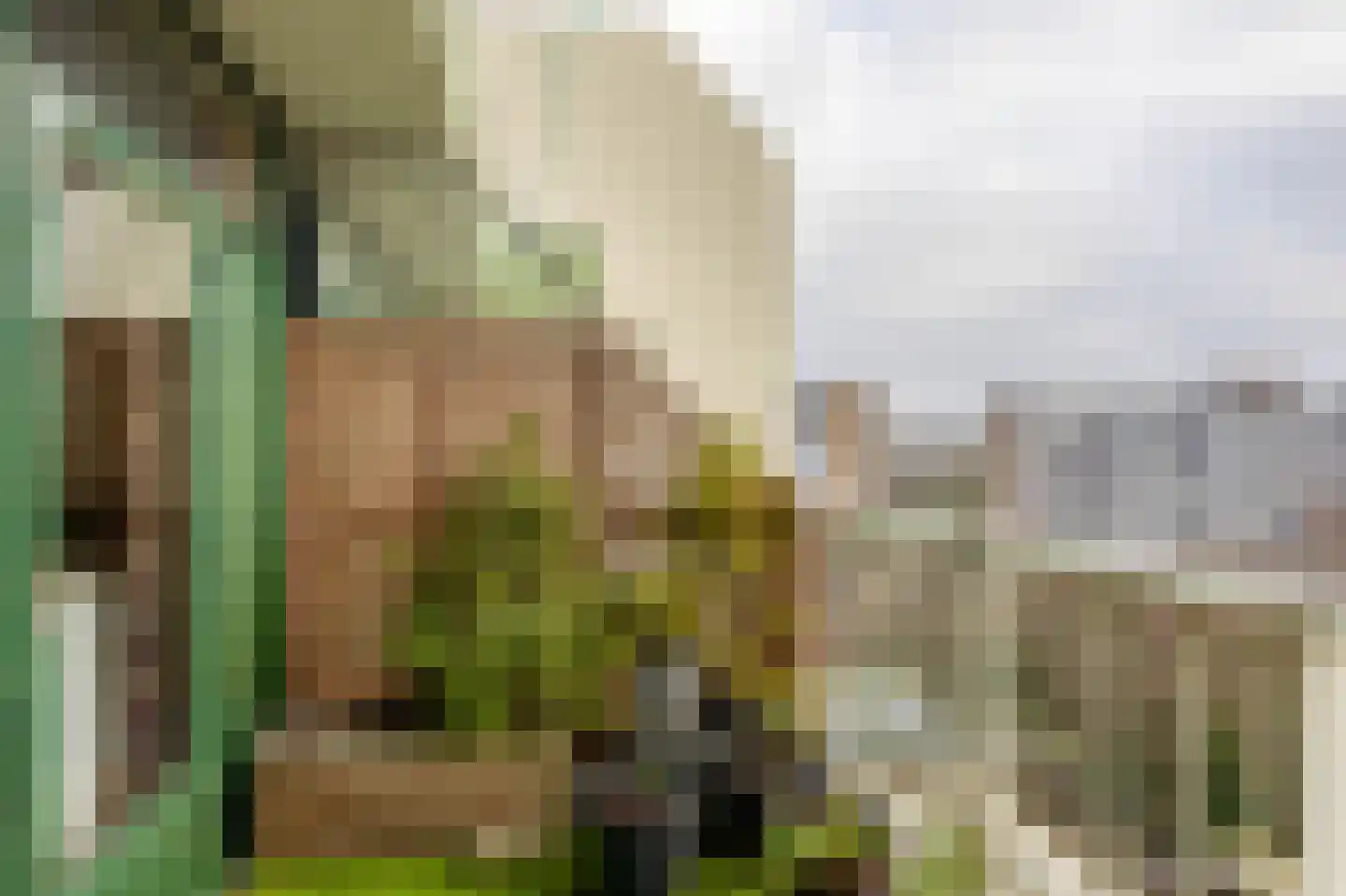 Herenwaard 143 Zoetermeer thumbnail 24