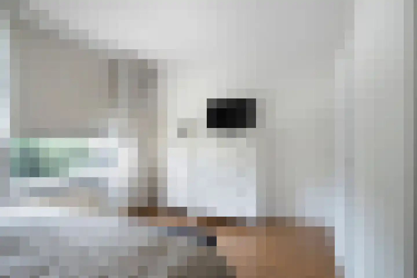Herenwaard 17 Zoetermeer thumbnail 20