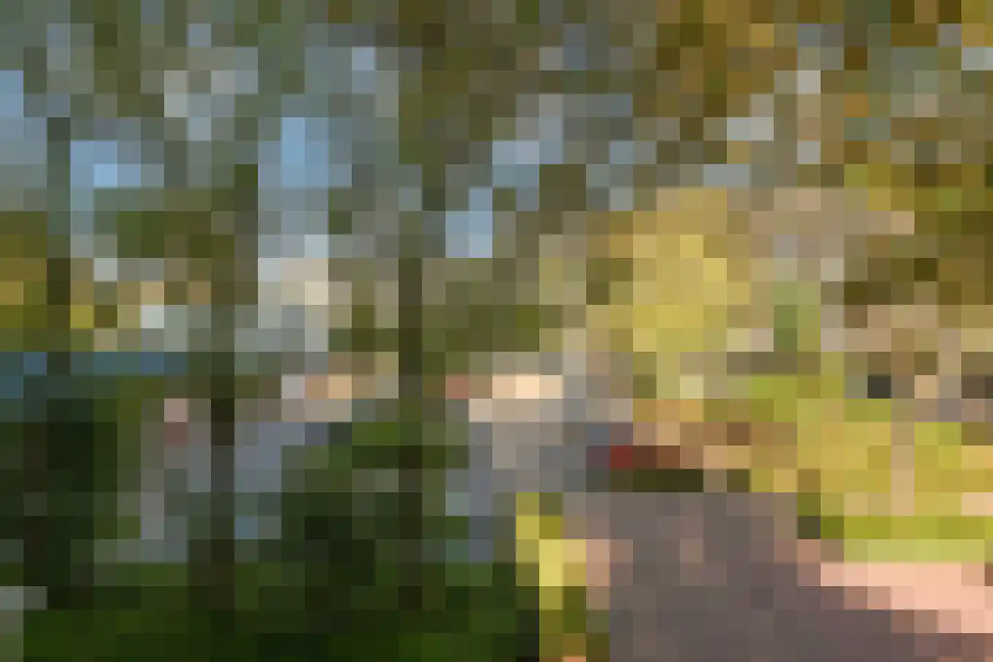Herenwaard 7 Zoetermeer thumbnail 12