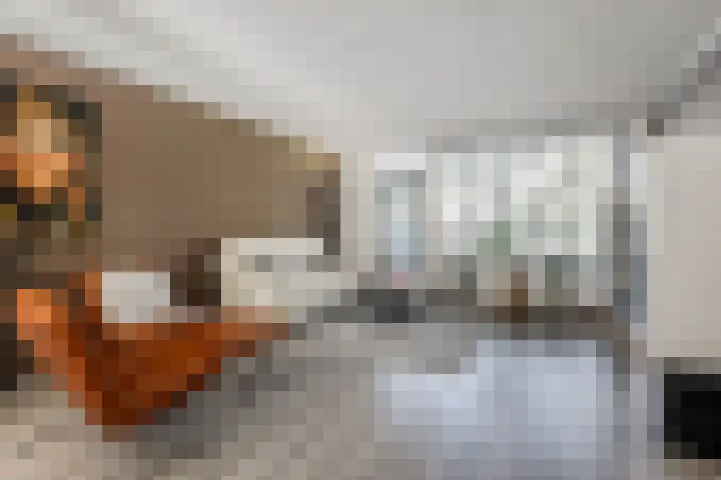 Herenwaard 7 Zoetermeer thumbnail 9
