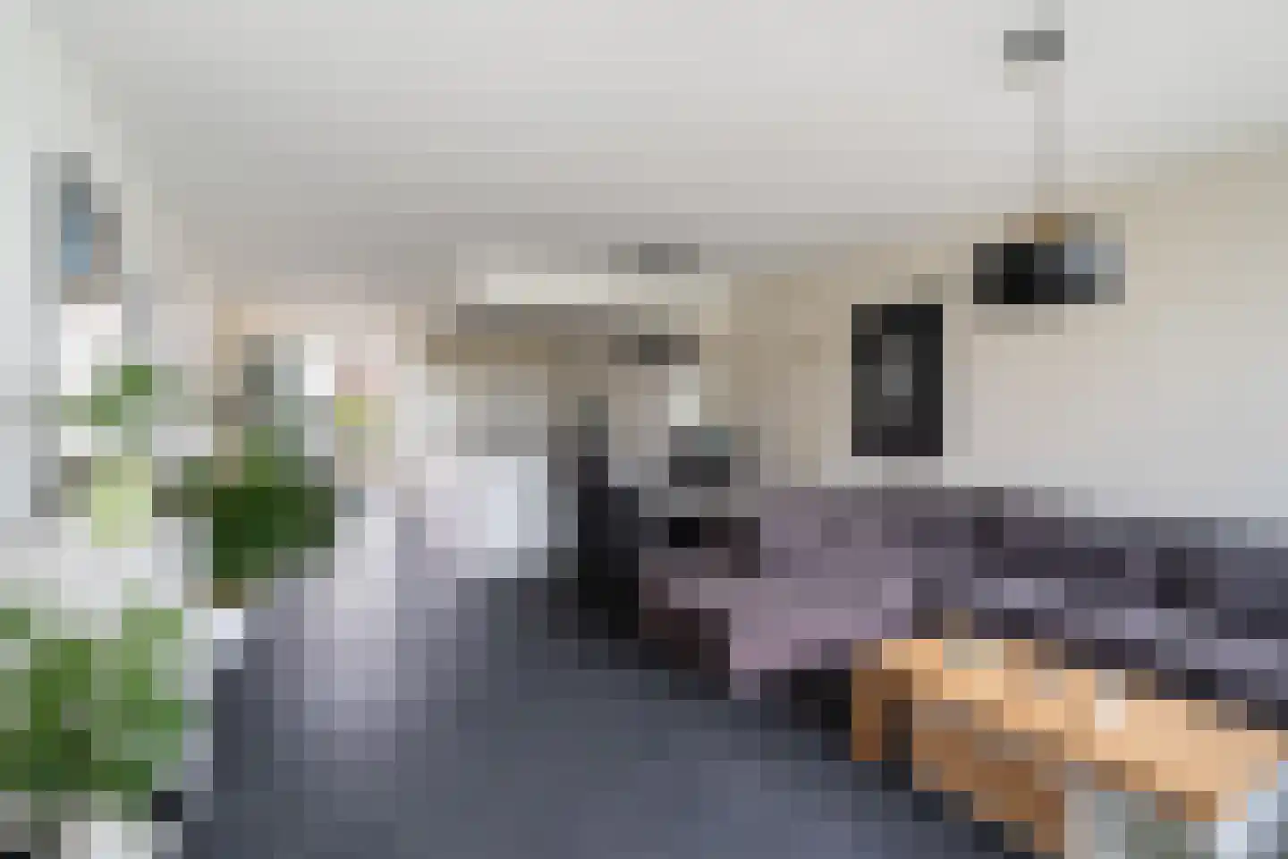 Herenwaard 79 Zoetermeer thumbnail 17