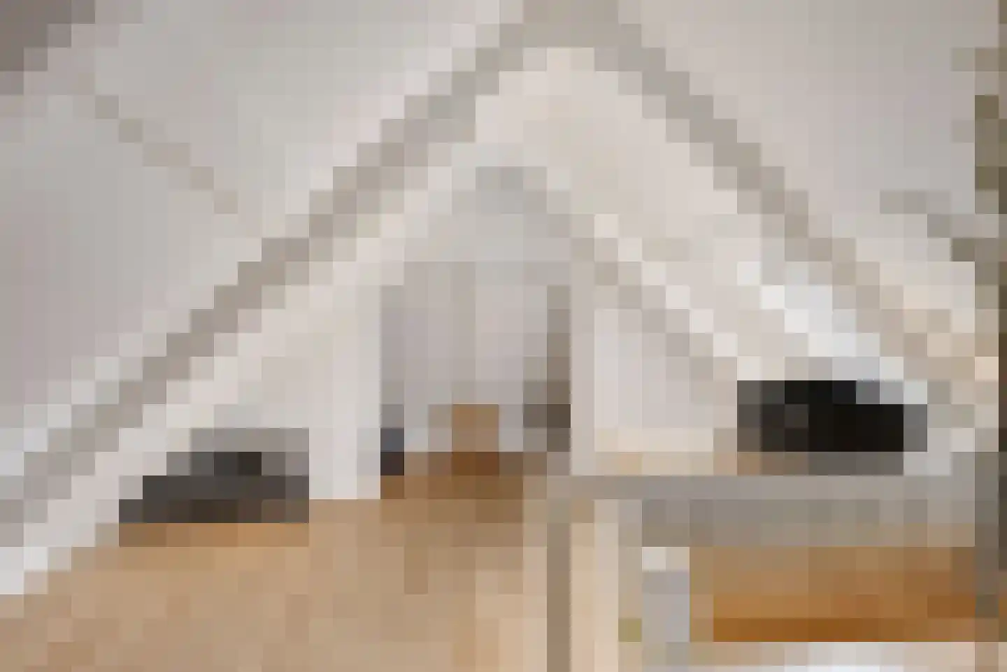 Herenwal 58 Heerenveen thumbnail 32