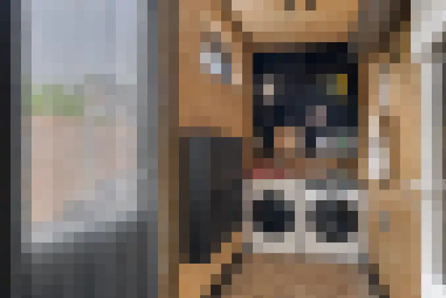 Herenwal 58 Heerenveen thumbnail 35