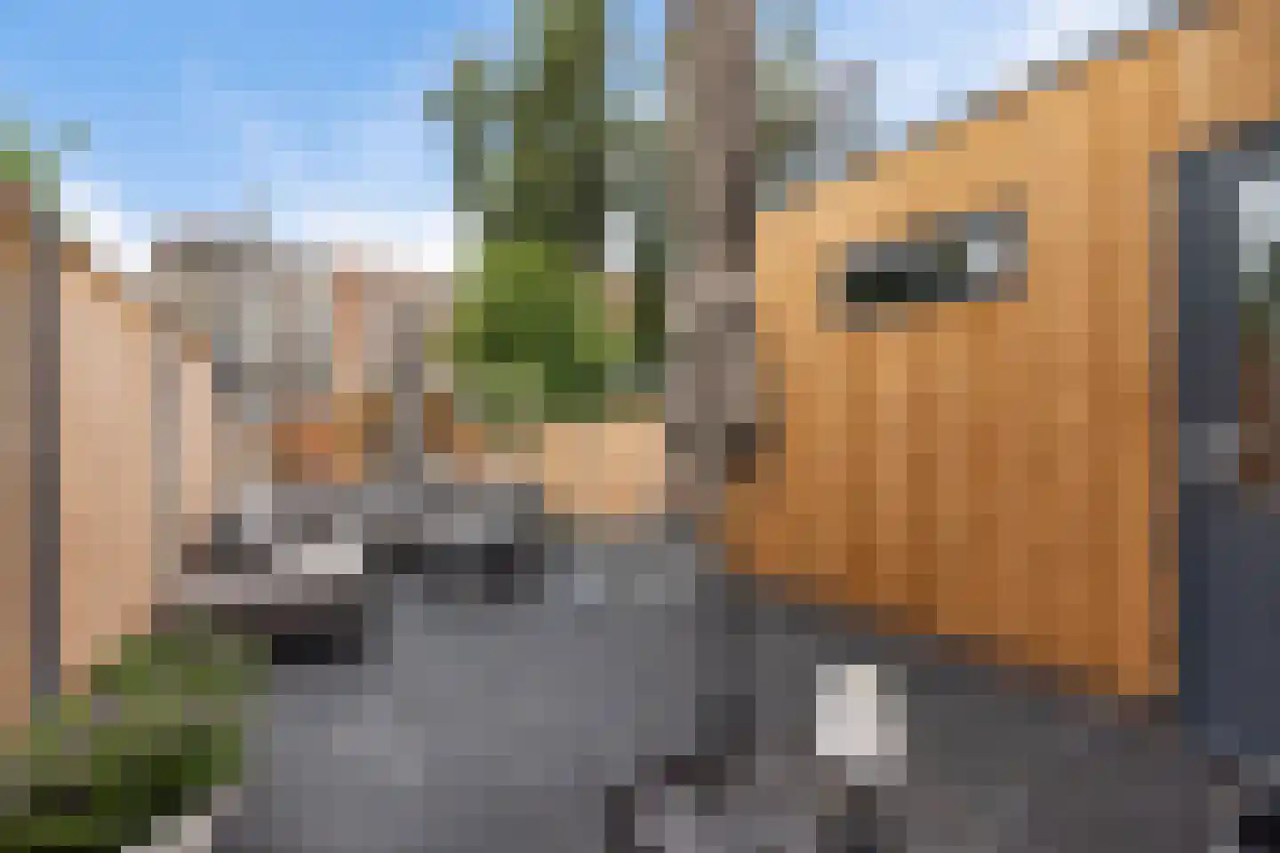 Herenwal 58 Heerenveen thumbnail 38