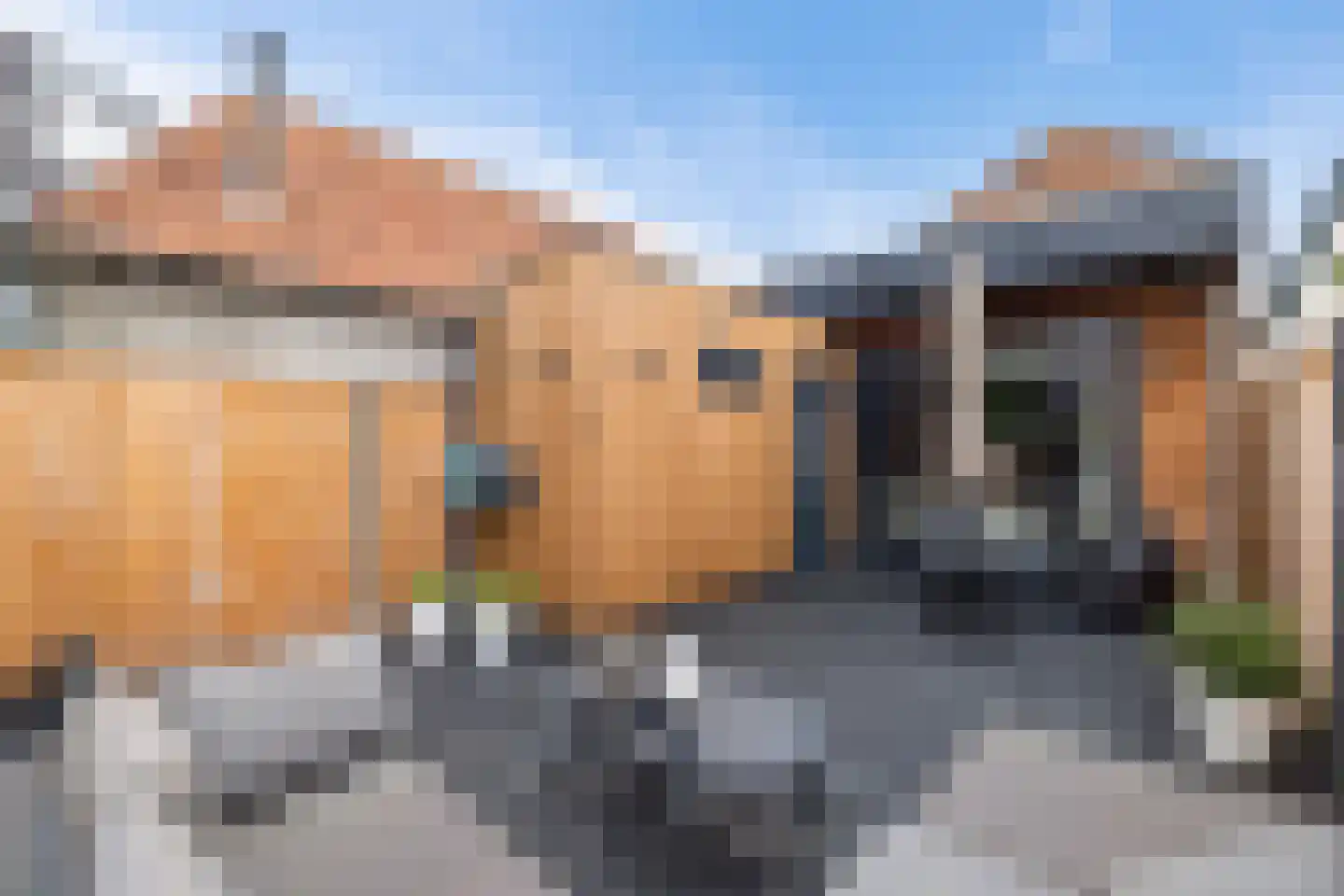 Herenwal 58 Heerenveen thumbnail 42