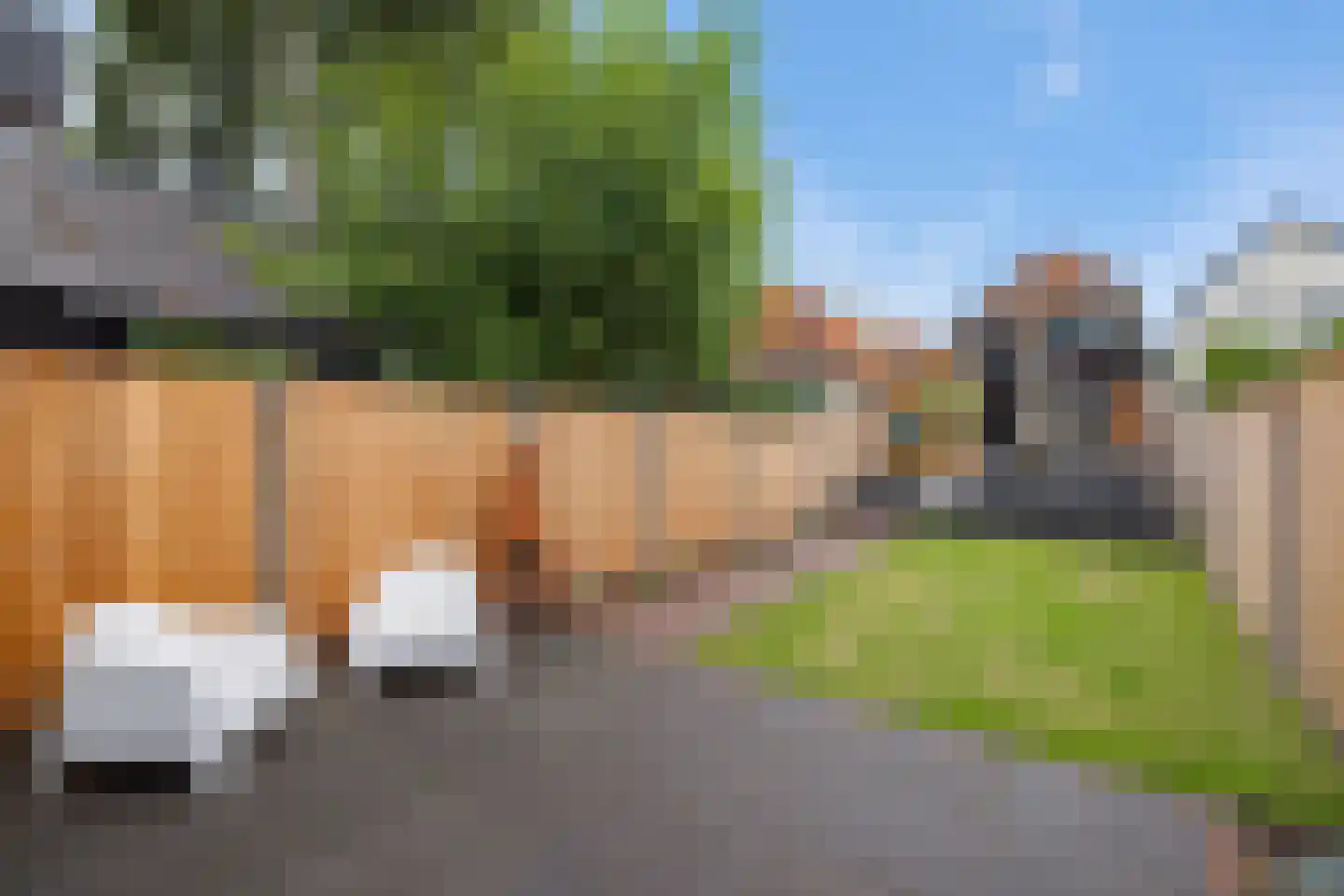 Herenwal 58 Heerenveen thumbnail 5