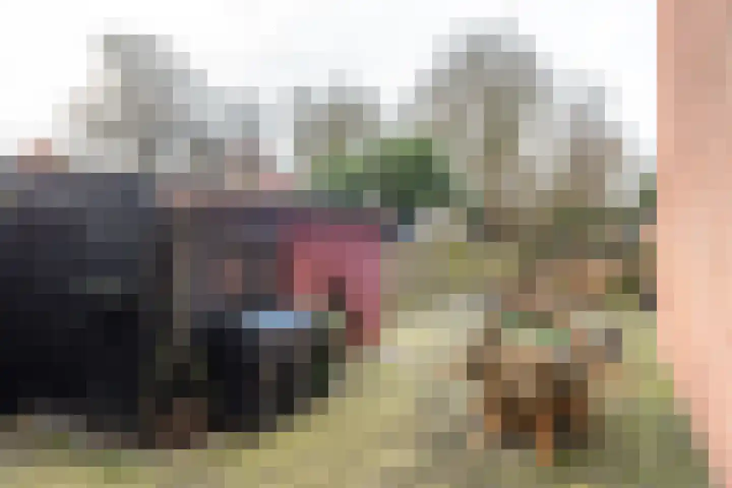Herenwal 84 Heerenveen thumbnail 28