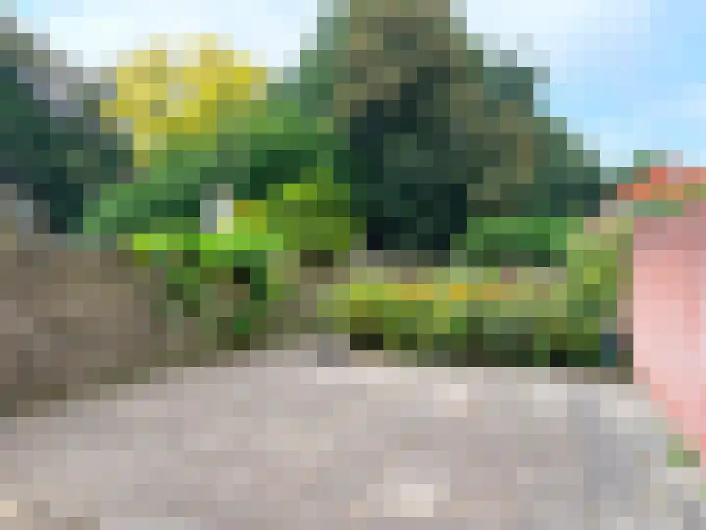 Herenwal 84 Heerenveen thumbnail 31