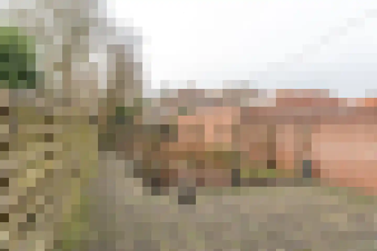 Herenwal 84 Heerenveen thumbnail 31