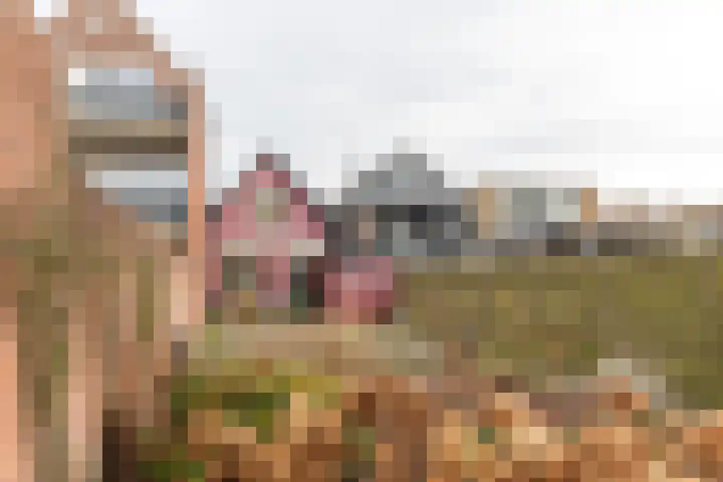 Herenwal 84 Heerenveen thumbnail 32