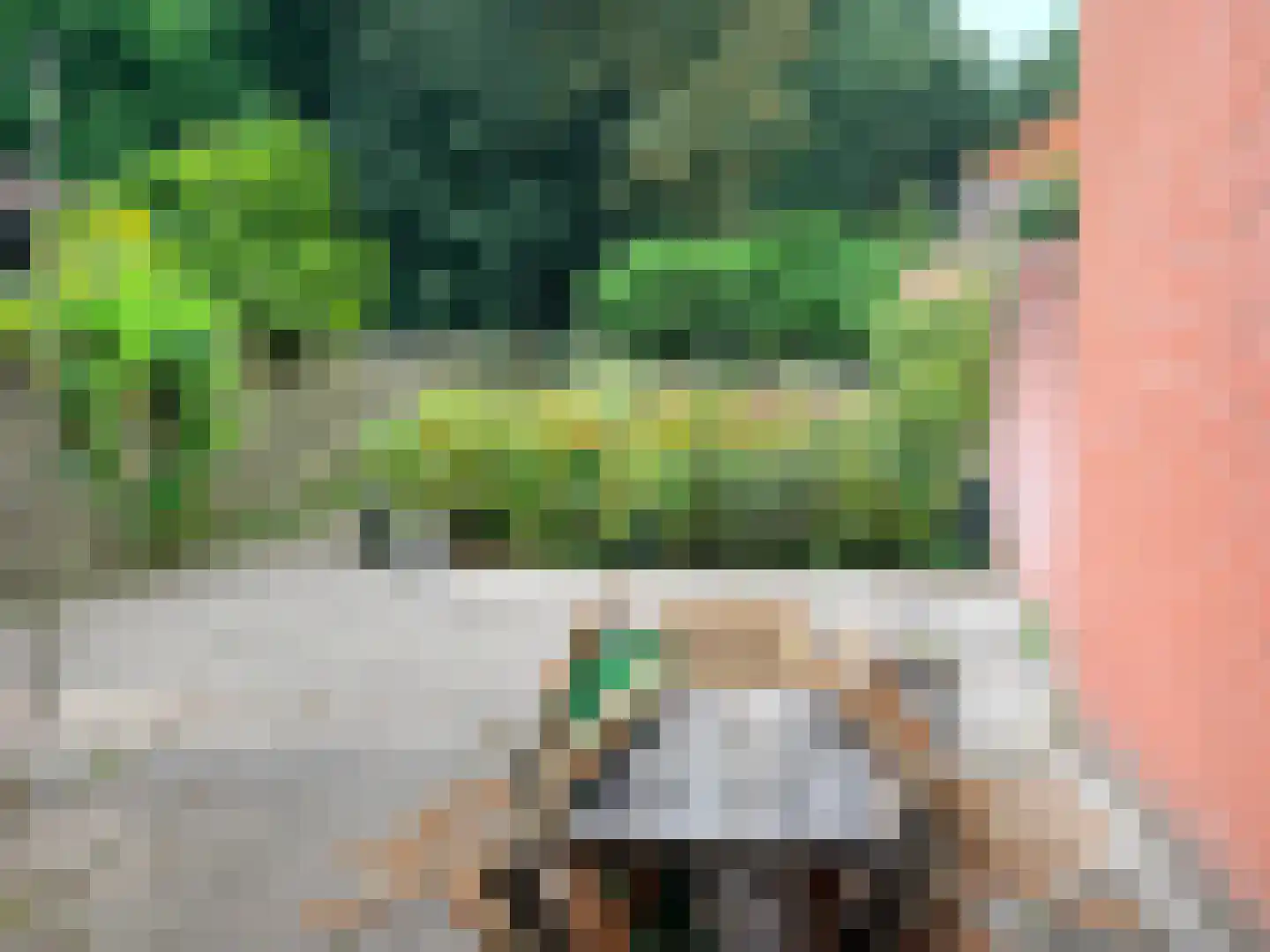 Herenwal 84 Heerenveen thumbnail 33