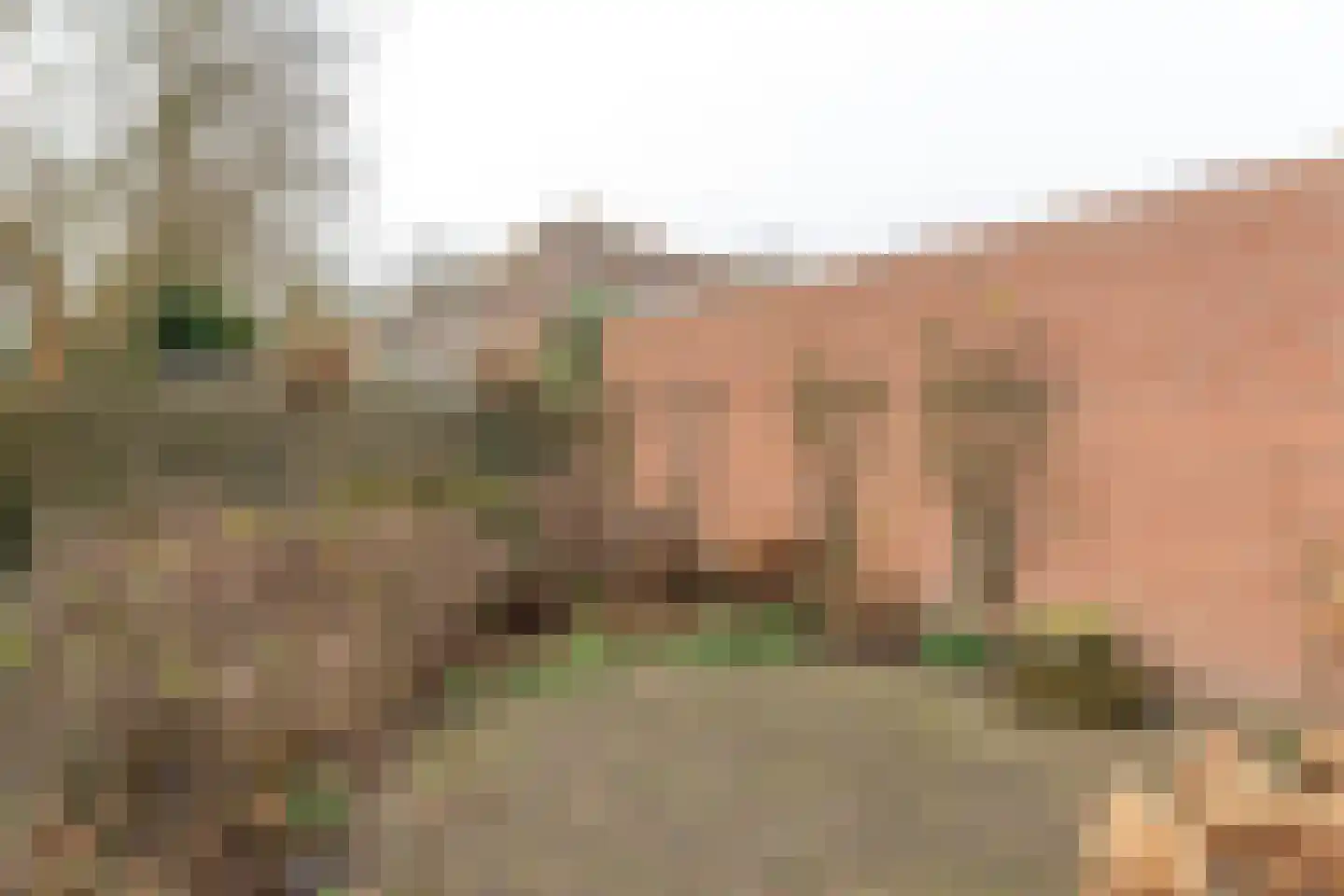 Herenwal 84 Heerenveen thumbnail 33