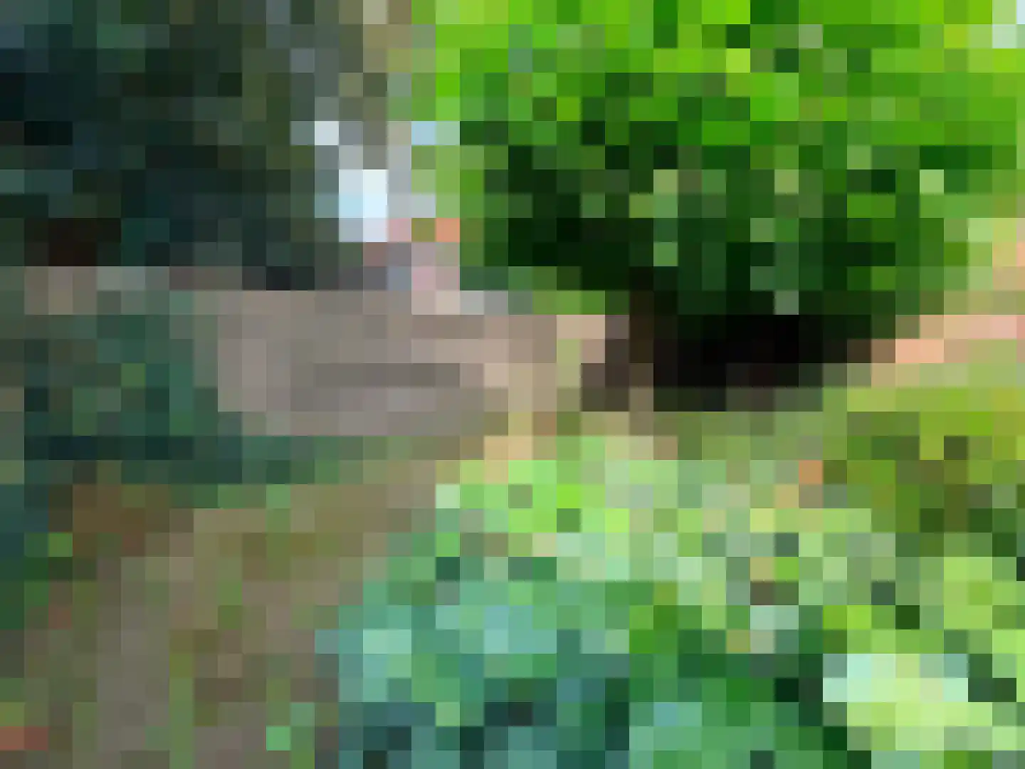 Herenwal 84 Heerenveen thumbnail 34