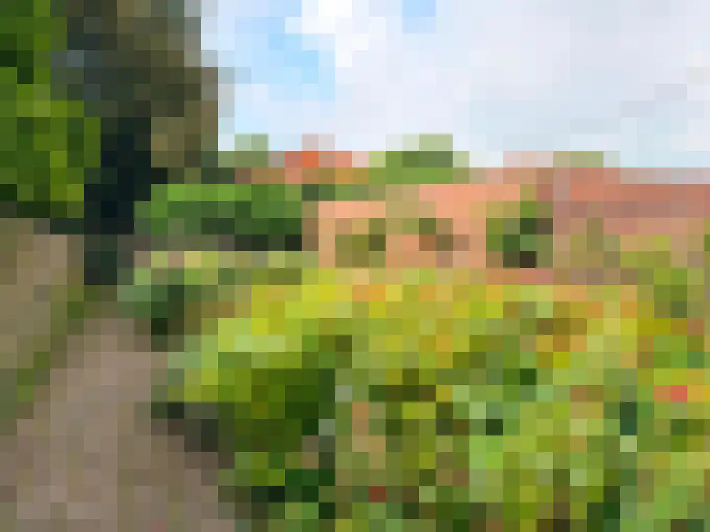Herenwal 84 Heerenveen thumbnail 36