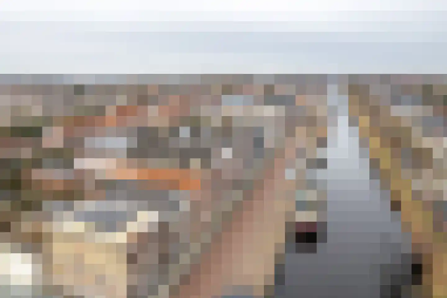 Herenwal 84 Heerenveen thumbnail 39