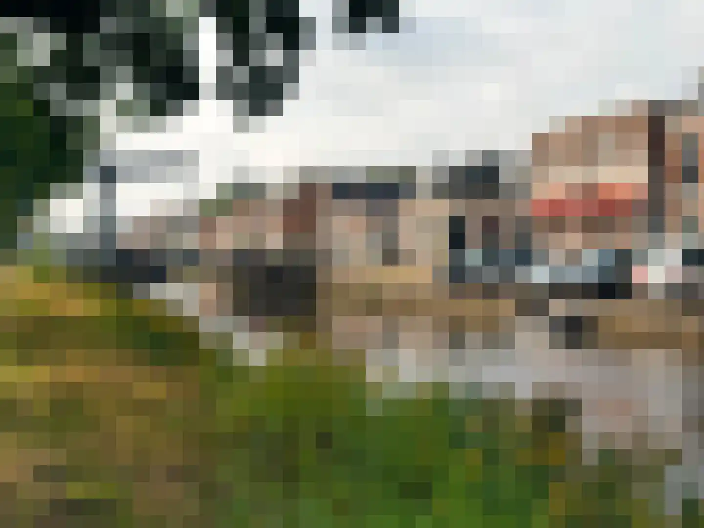 Herenwal 84 Heerenveen thumbnail 39