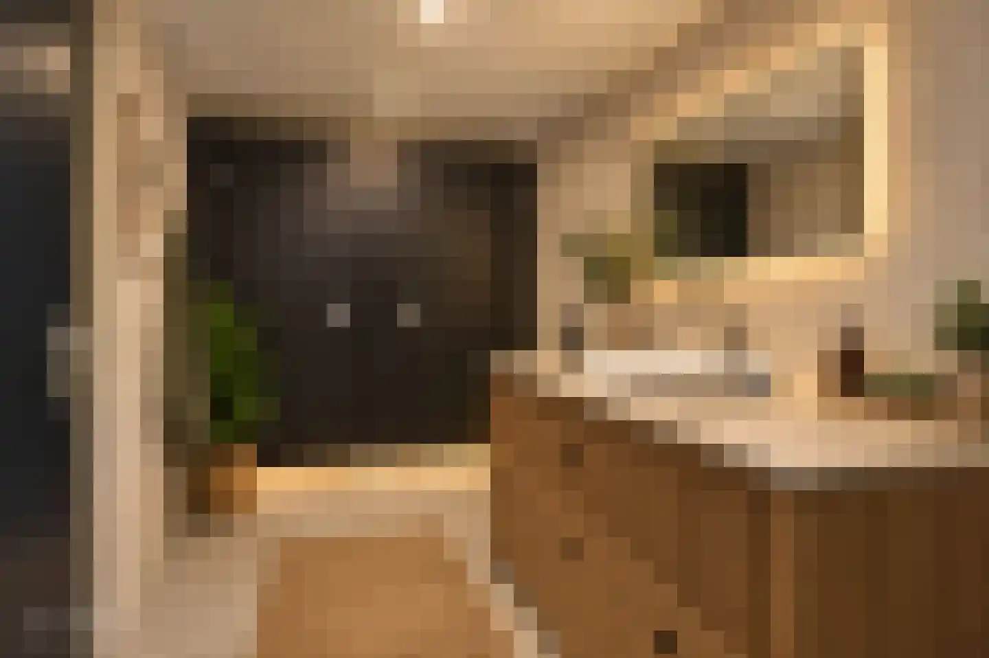 Herenwaltje 3 Leeuwarden thumbnail 42