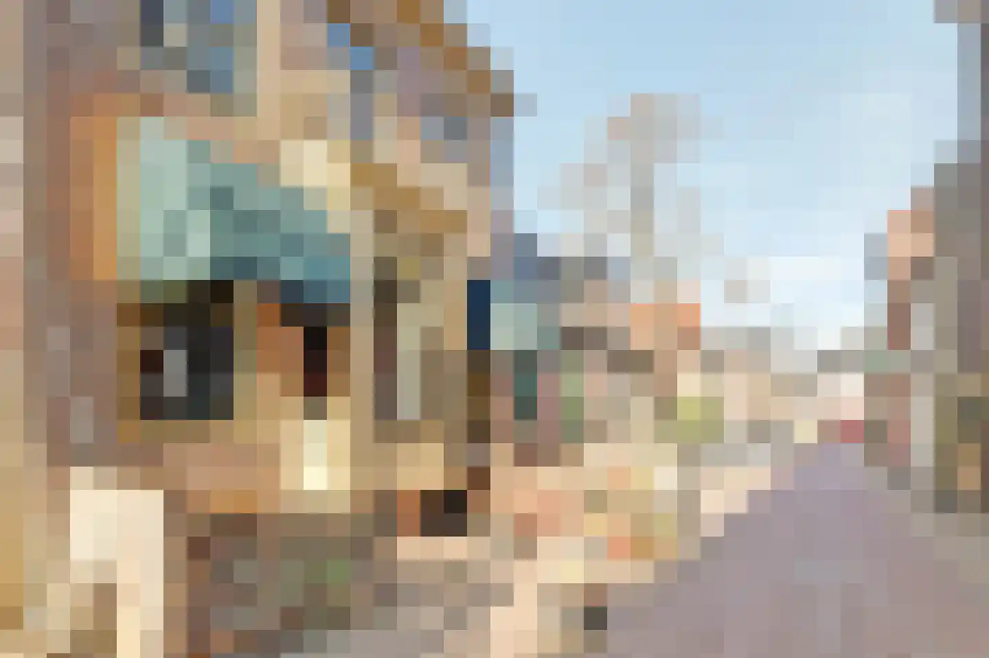Herenwaltje 3 Leeuwarden thumbnail 6
