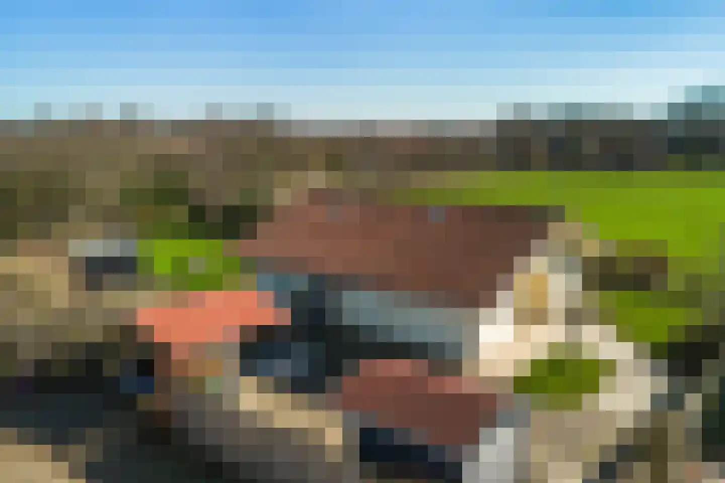 Herenweg 1 Aagtekerke thumbnail 10