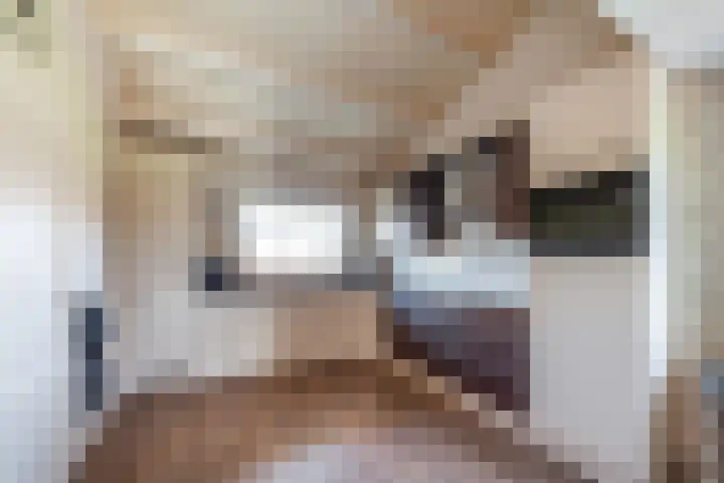 Herenweg 1 Aagtekerke thumbnail 14