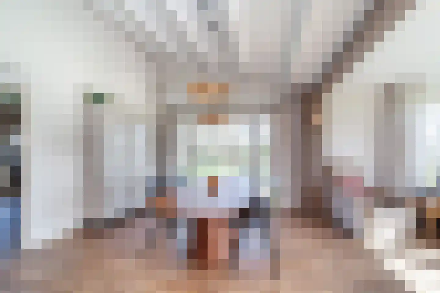 Herenweg 1 Aagtekerke thumbnail 16