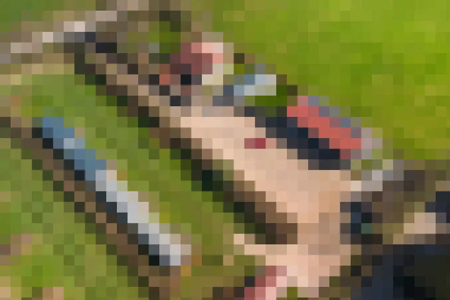 Herenweg 1 Aagtekerke thumbnail 4
