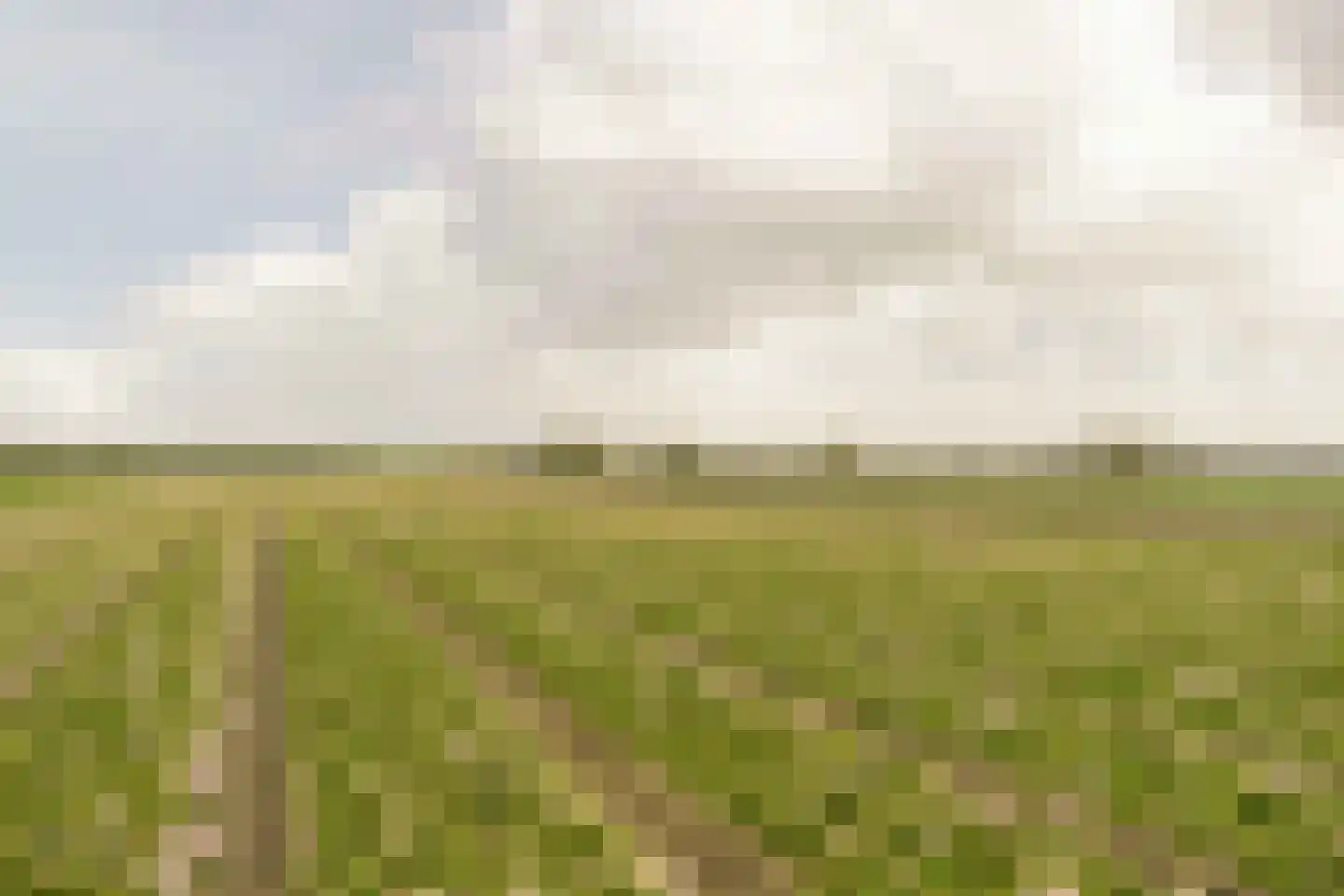 Herenweg 102 b Egmond-Binnen thumbnail 25
