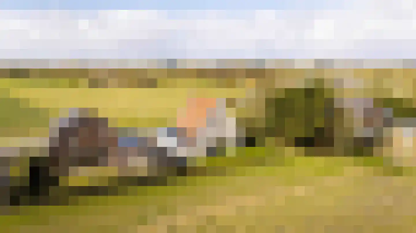 Herenweg 102 b Egmond-Binnen thumbnail 32