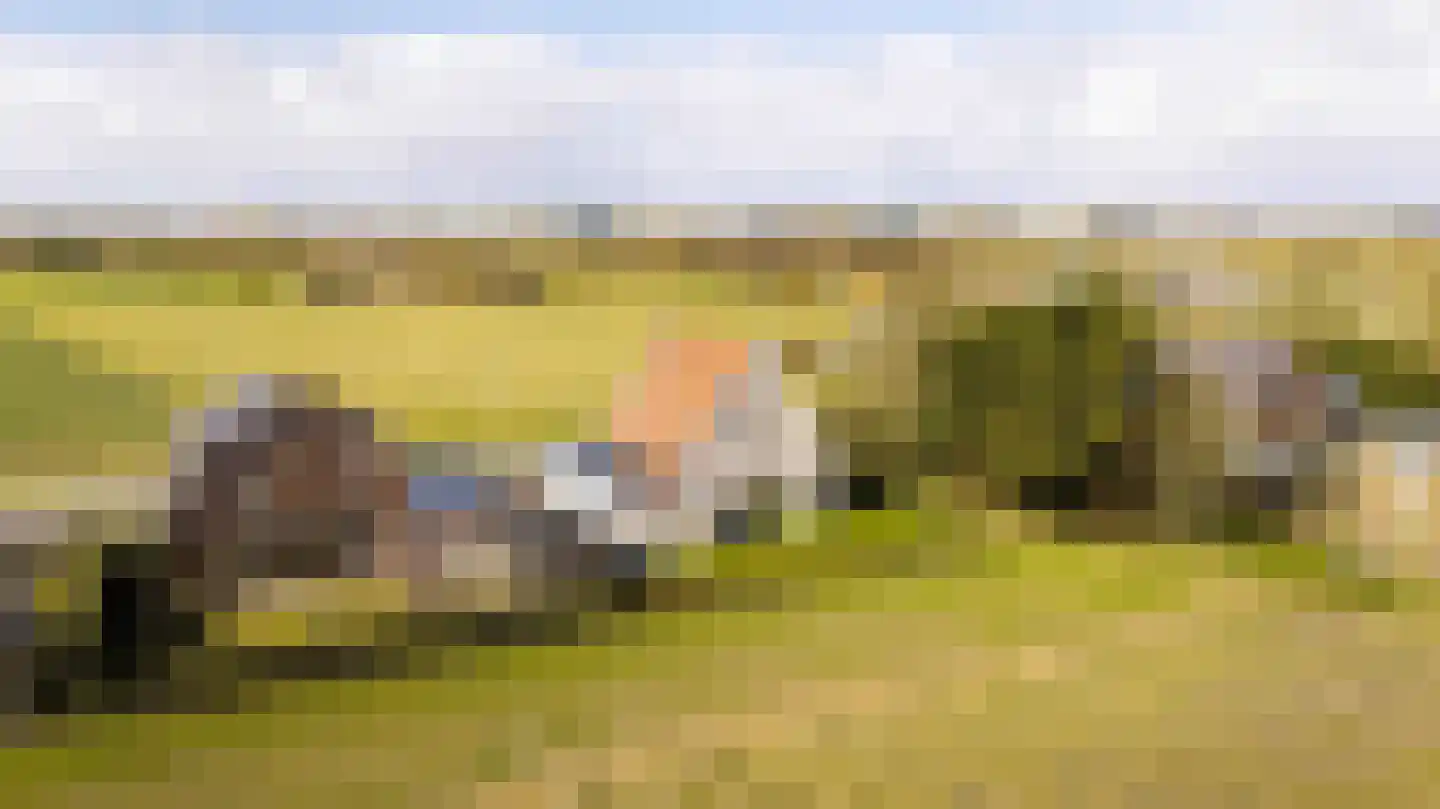 Herenweg 102 b Egmond-Binnen thumbnail 32